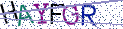 Type the letters shown in the picture