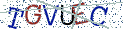 Type the letters shown in the picture