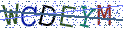 Type the letters shown in the picture