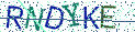 Type the letters shown in the picture