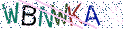 Type the letters shown in the picture