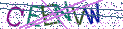 Type the letters shown in the picture