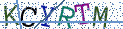 Type the letters shown in the picture