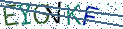 Type the letters shown in the picture
