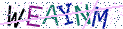 Type the letters shown in the picture