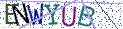 Type the letters shown in the picture