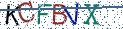 Type the letters shown in the picture
