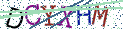 Type the letters shown in the picture