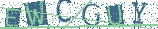 Type the letters shown in the picture