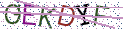 Type the letters shown in the picture