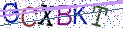 Type the letters shown in the picture