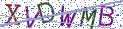 Type the letters shown in the picture