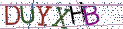 Type the letters shown in the picture