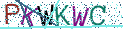 Type the letters shown in the picture