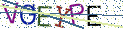 Type the letters shown in the picture