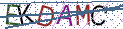 Type the letters shown in the picture