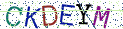 Type the letters shown in the picture
