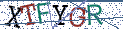 Type the letters shown in the picture