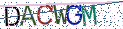 Type the letters shown in the picture