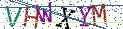 Type the letters shown in the picture