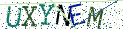 Type the letters shown in the picture
