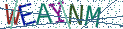 Type the letters shown in the picture