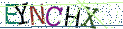 Type the letters shown in the picture