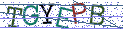 Type the letters shown in the picture