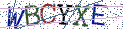 Type the letters shown in the picture