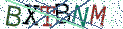 Type the letters shown in the picture