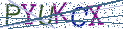Type the letters shown in the picture