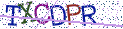 Type the letters shown in the picture