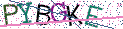 Type the letters shown in the picture