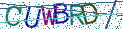 Type the letters shown in the picture