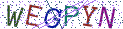 Type the letters shown in the picture