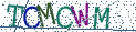 Type the letters shown in the picture