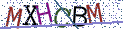 Type the letters shown in the picture