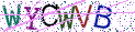 Type the letters shown in the picture