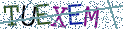 Type the letters shown in the picture