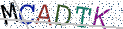 Type the letters shown in the picture