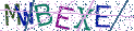 Type the letters shown in the picture